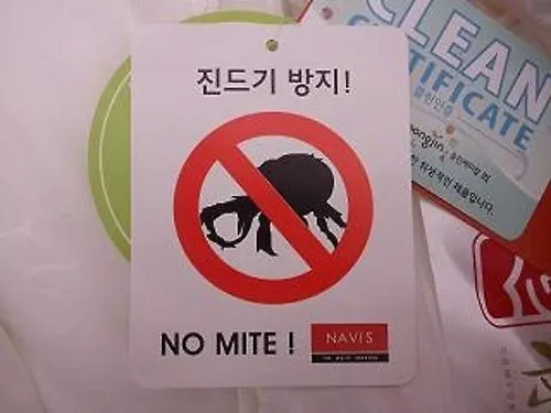 Хостел Cheonggye Haus *